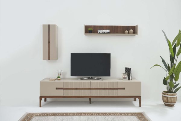 Asel TV Ünitesi
